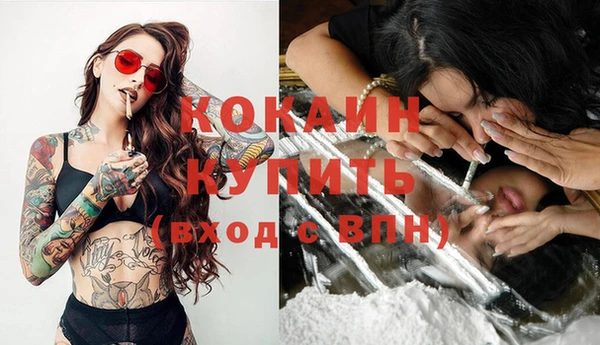 стафф Дмитров