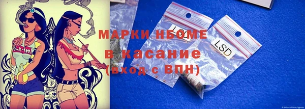 стафф Дмитров