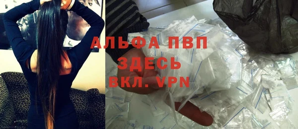 стафф Дмитров